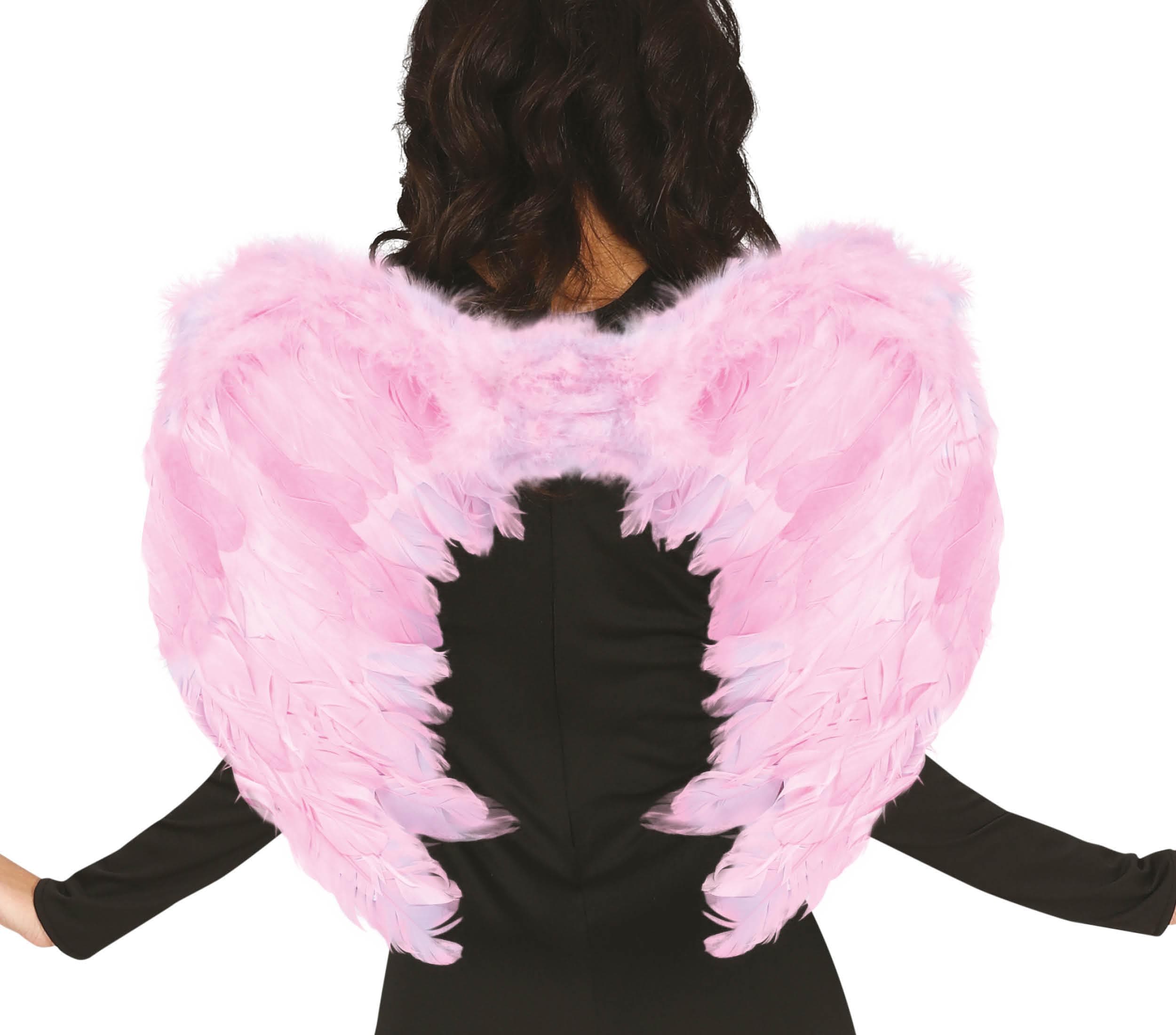 Pink fjervinger, 60 × 40 cm