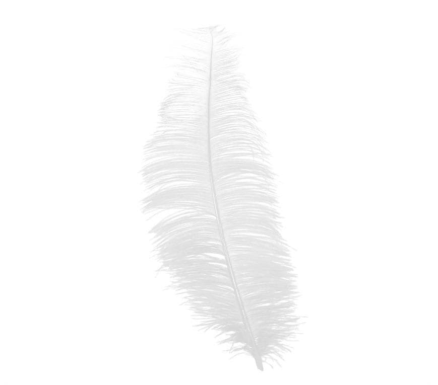 Pose med 12 strudsefjer, 25-35 cm, hvid