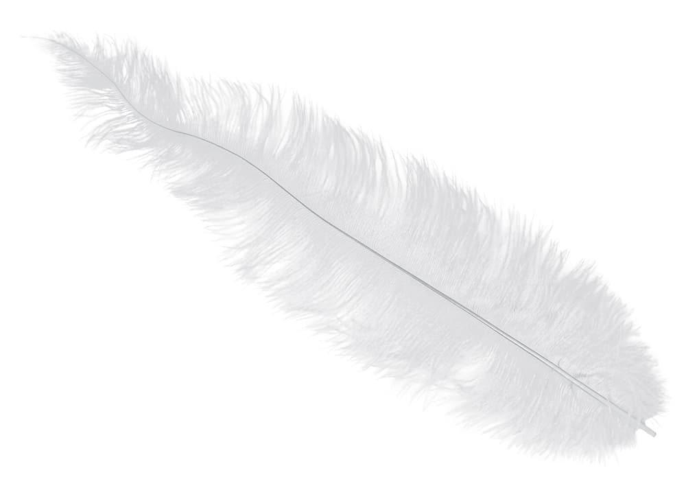 Pose med 12 strudsefjer, 35-45 cm, hvid