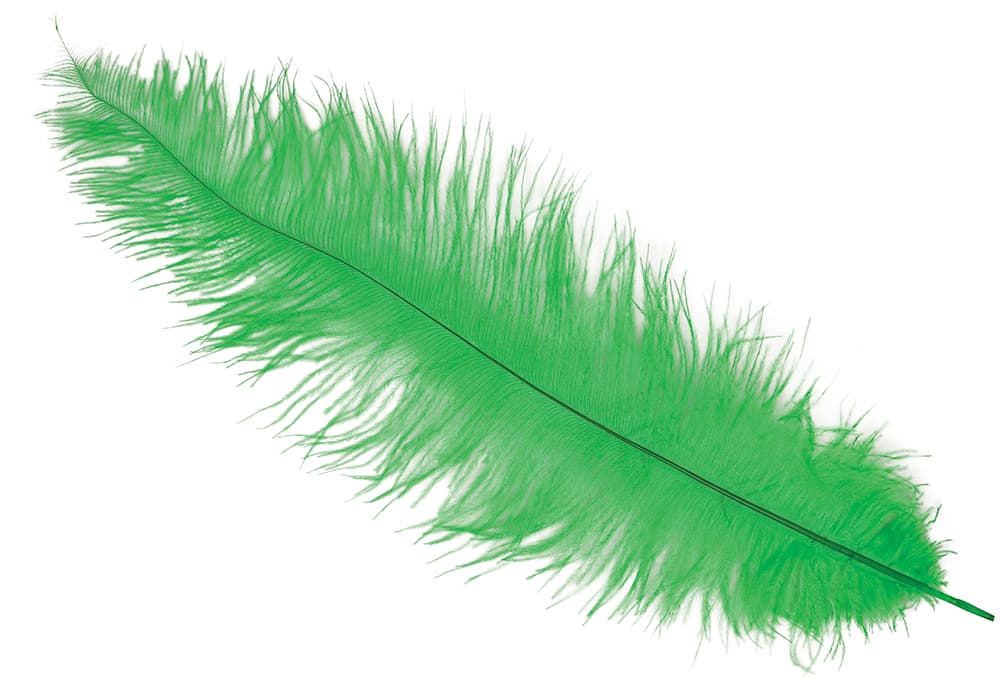 Pose med 12 strudsefjer, 35-45 cm, grøn