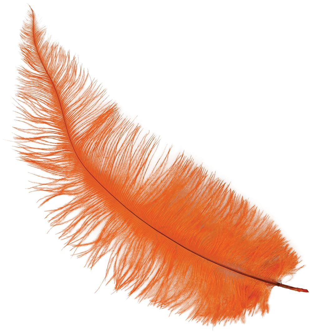 Pose med 12 strudsefjer, 35-45 cm, orange