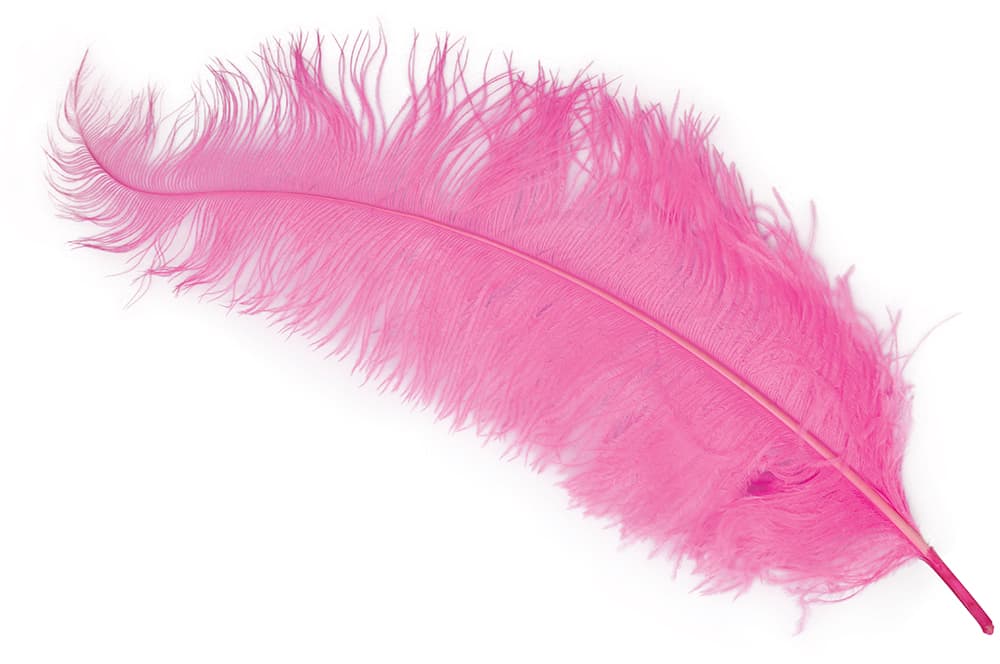 Pose med 12 strudsefjer, 45-65 cm, pink