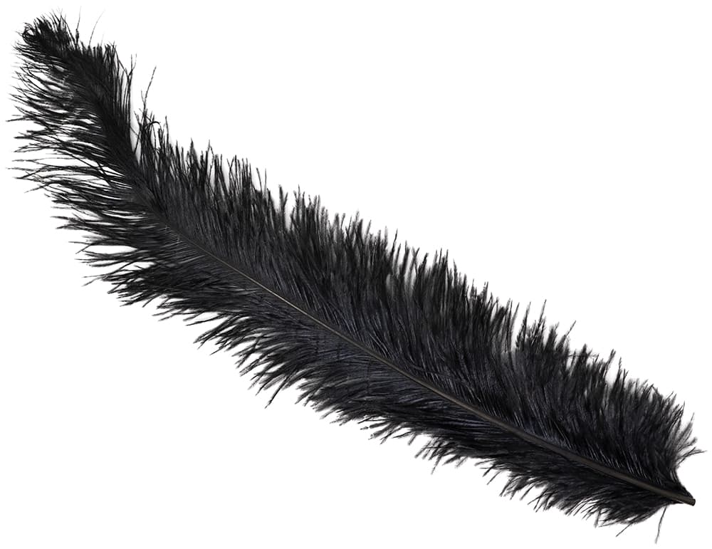 Pose med 12 strudsefjer, 45-65 cm, sort