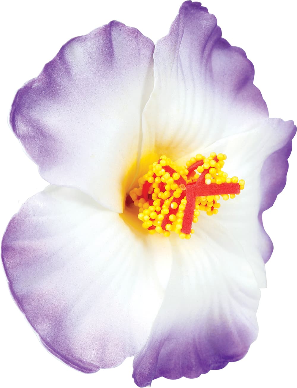 Pakke med 3 hawaiiblomster i høj kvalitet