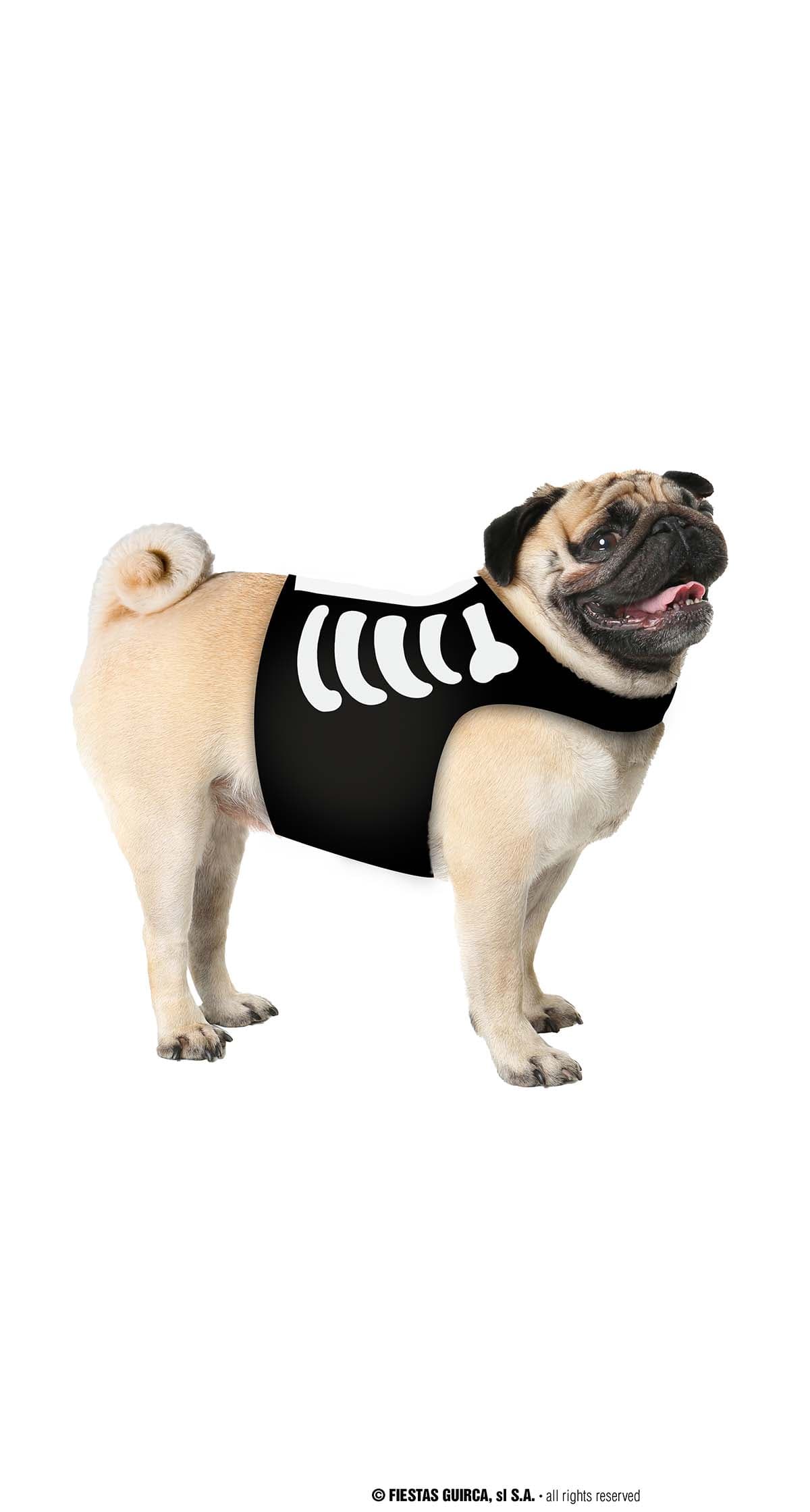 Dyreskelet – kostume til hunde