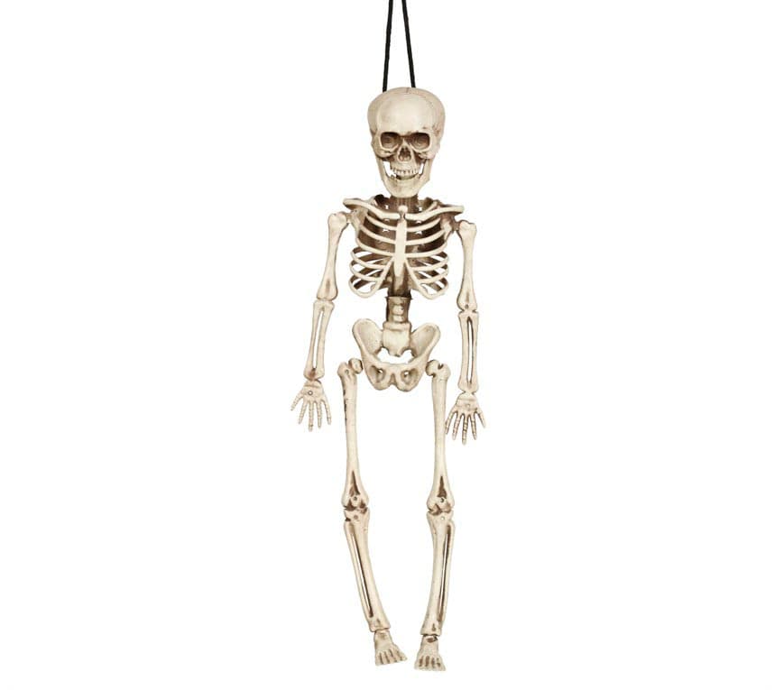 Skelet 40 cm
