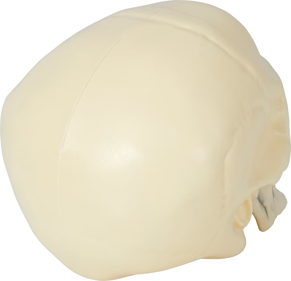 Kranie 20 cm, beige