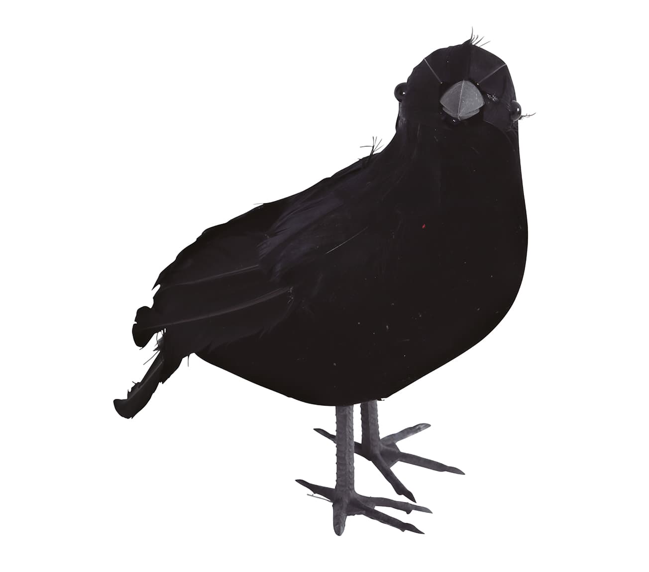 Krage, 21 cm