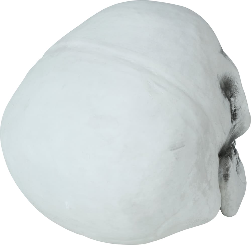 Kranie 30 cm