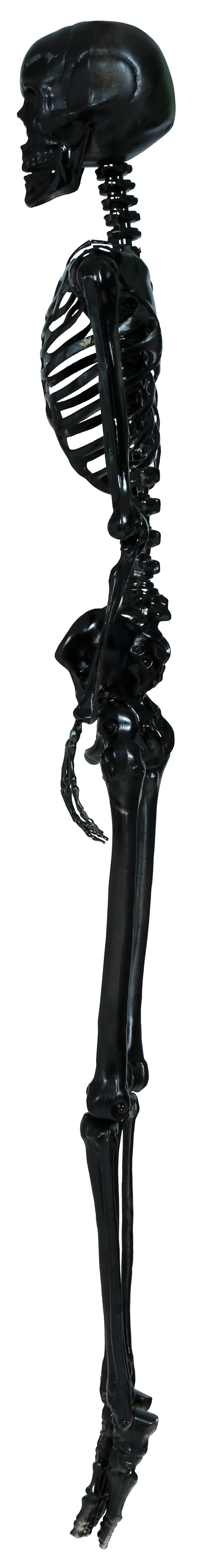 Sort skelet, 90 cm