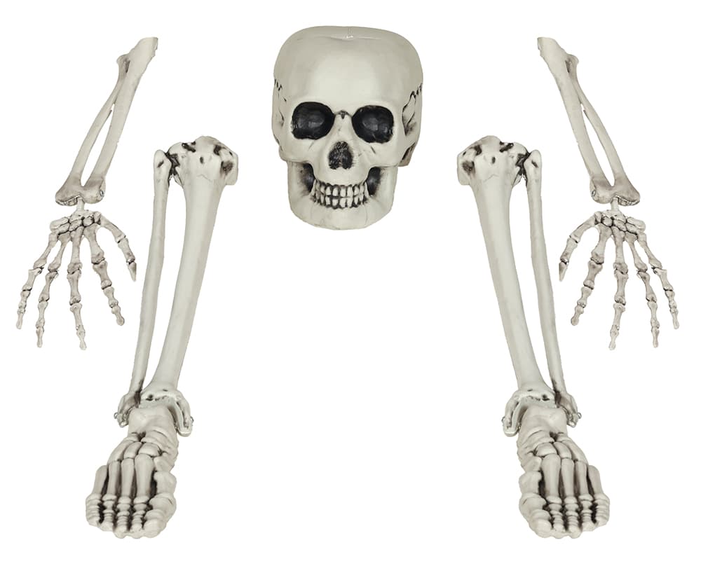 Sæt med 5 skeletknogler