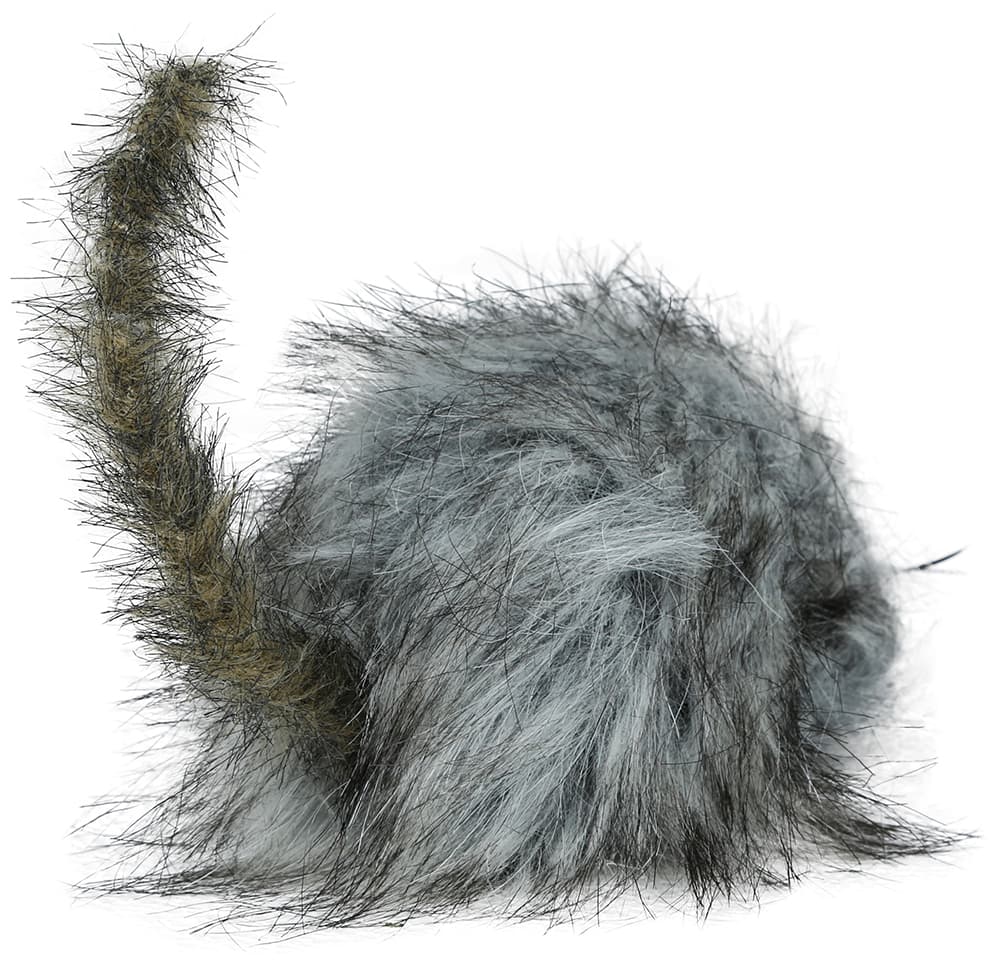 Grå lodden rotte, 16 cm