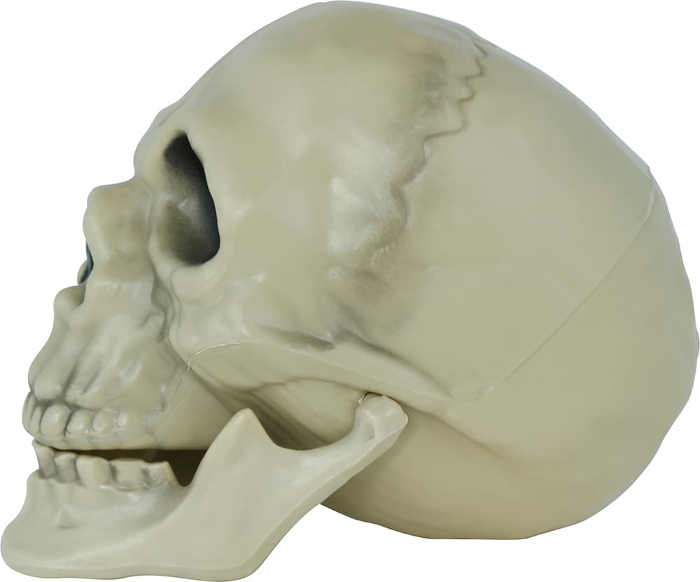Kranie, PVC, 13 cm