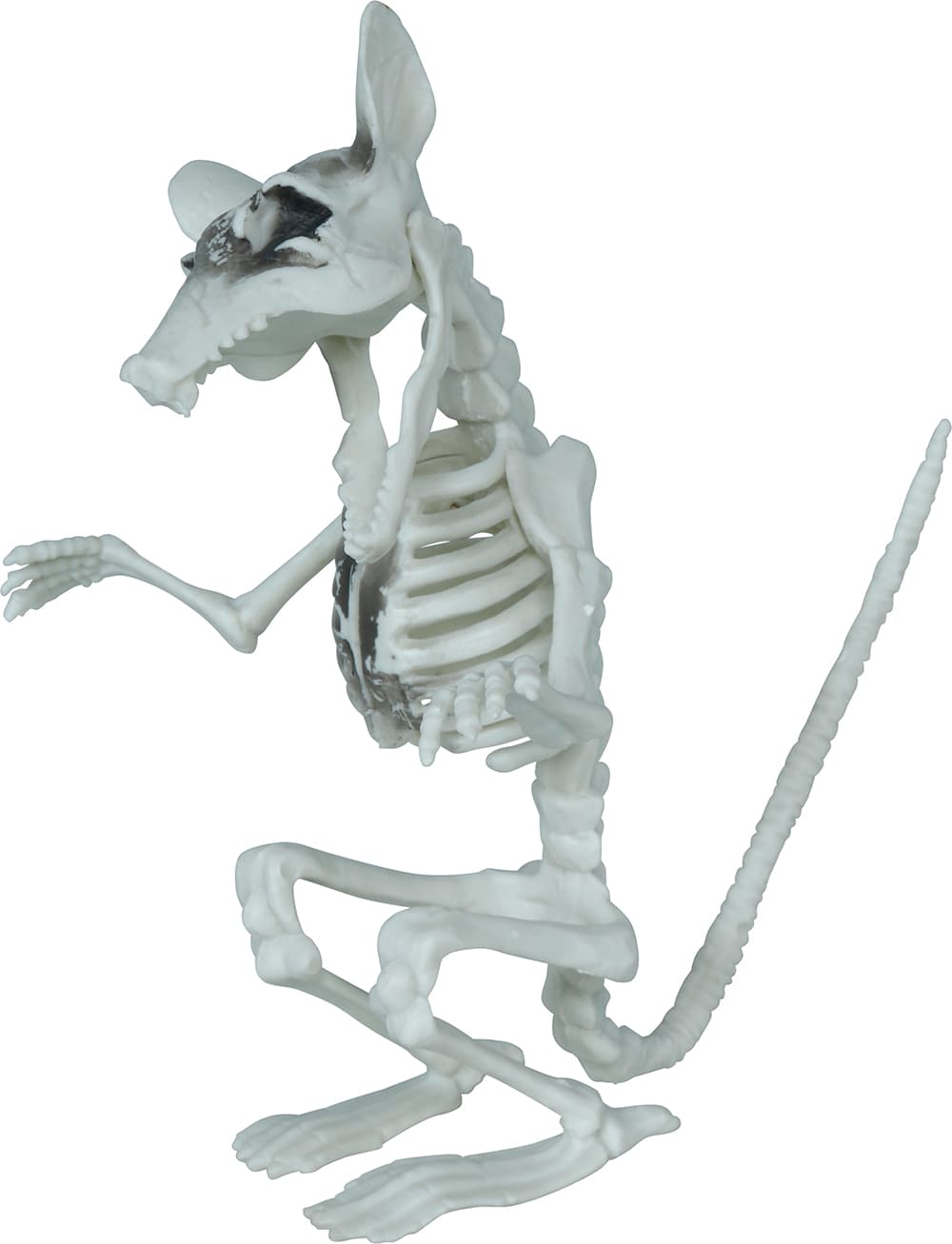 Skeletrotte, PVC, 17 cm