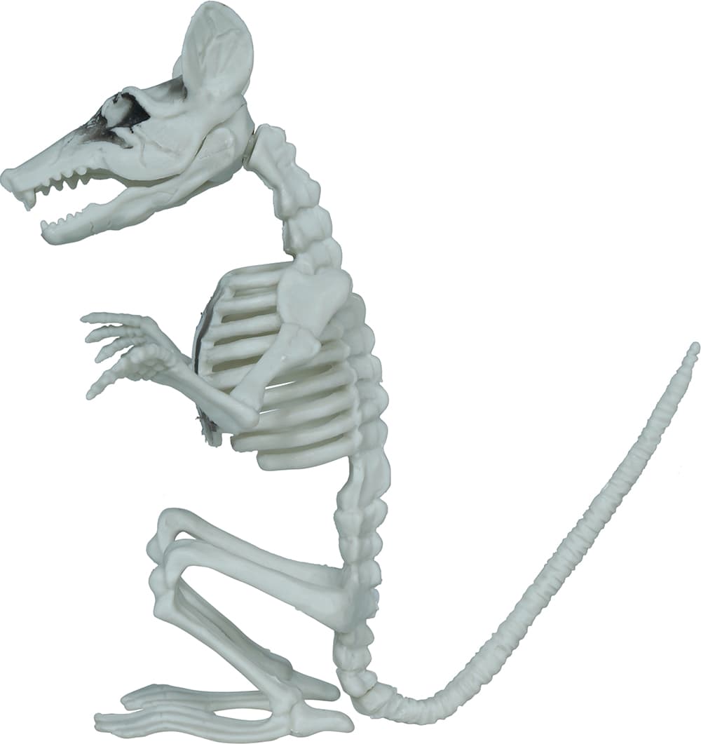 Skeletrotte, PVC, 17 cm
