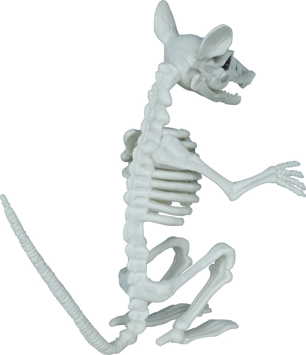 Skeletrotte, PVC, 17 cm