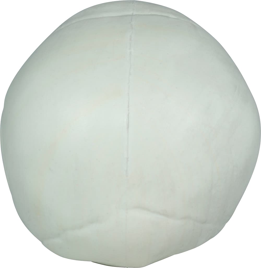 Sæt med 3 kranier, PVC, 15 cm