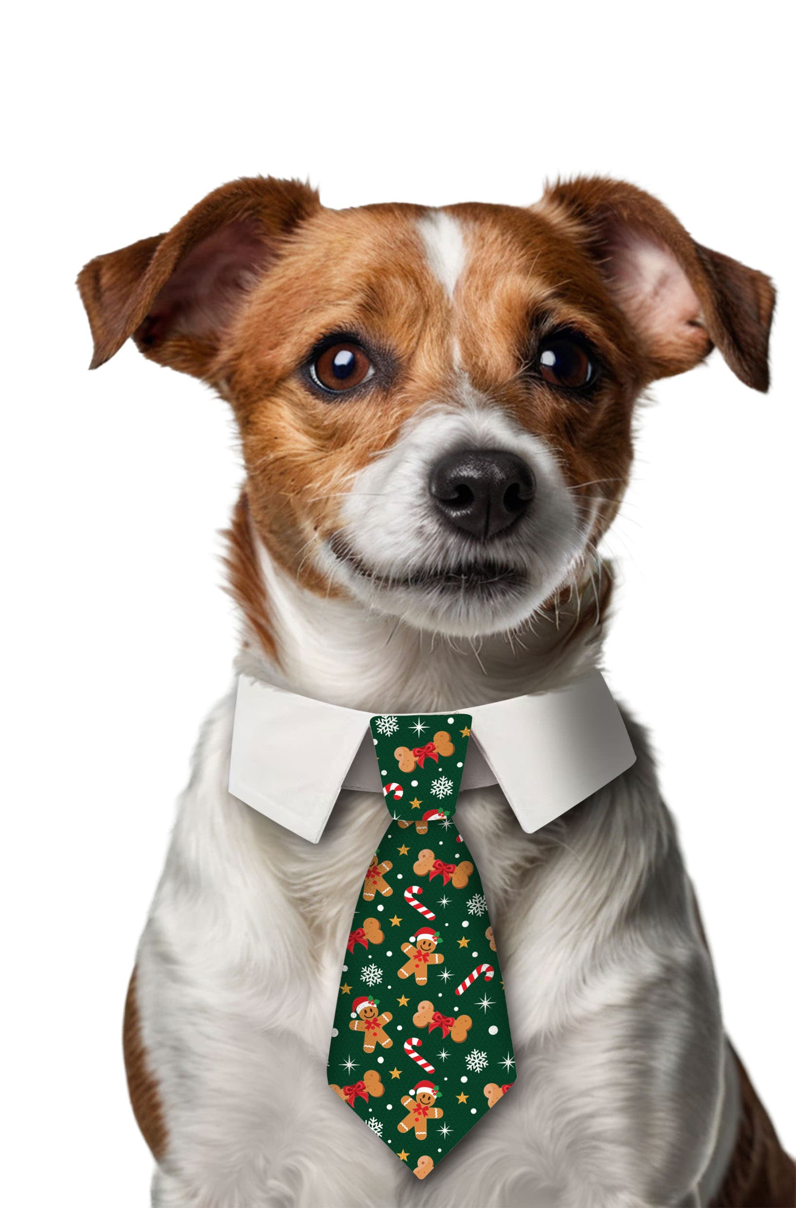 Hundeslips med juleprint, 20 cm